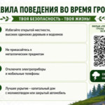 слайд 11
