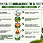 слайд 7